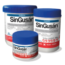SINGUSÁN