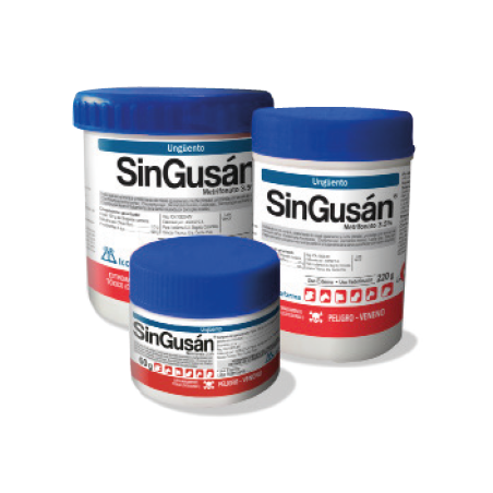 SINGUSÁN