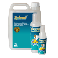 SHAMPOO ACONDICIONADOR