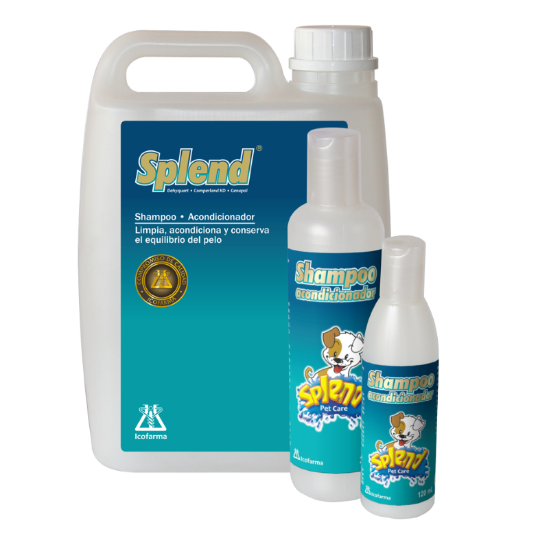 SHAMPOO ACONDICIONADOR