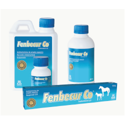 FENBECUR CO