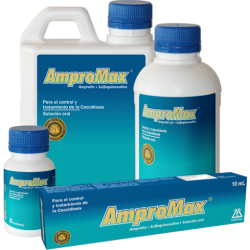AMPROMAX - SOLUCIÓN